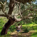 Salthouse Portugal - Exclusive Aljezur