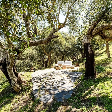 Salthouse Portugal - Exclusive