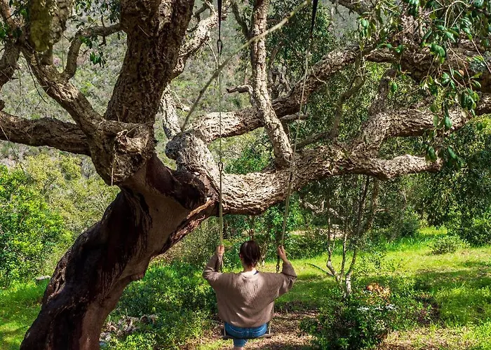 Salthouse Portugal - Exclusive Aljezur